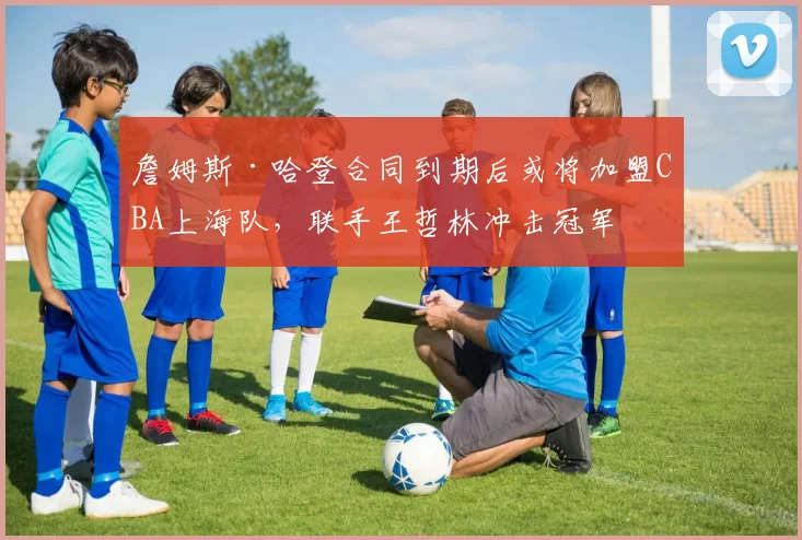 詹姆斯·哈登合同到期后或将加盟CBA上海队，联手王哲林冲击冠军